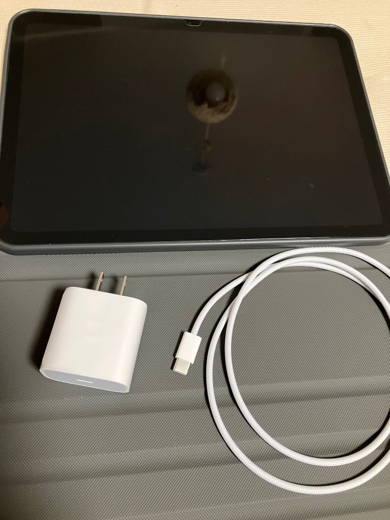 iPad Pro 第10世代 256GB APPLE Wi-Fiモデル 新品未開封 本体