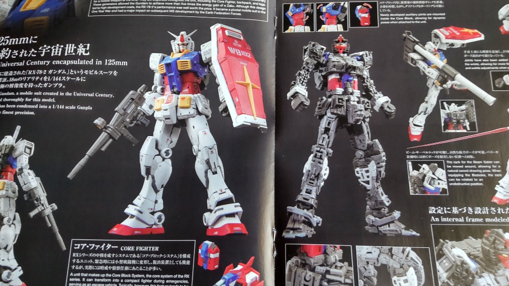 い*き様 ガンプラ　RG　8体　ジャンク　まとめ売り 黒・ピンク・金の「RX-78-2 ガンダム」が新鮮！プレバンの抽選