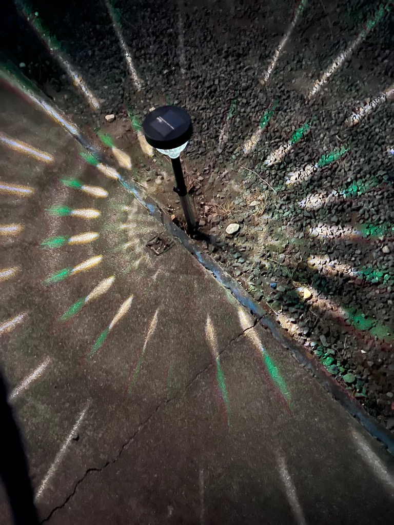 全体のレビュー画像 | 6-0