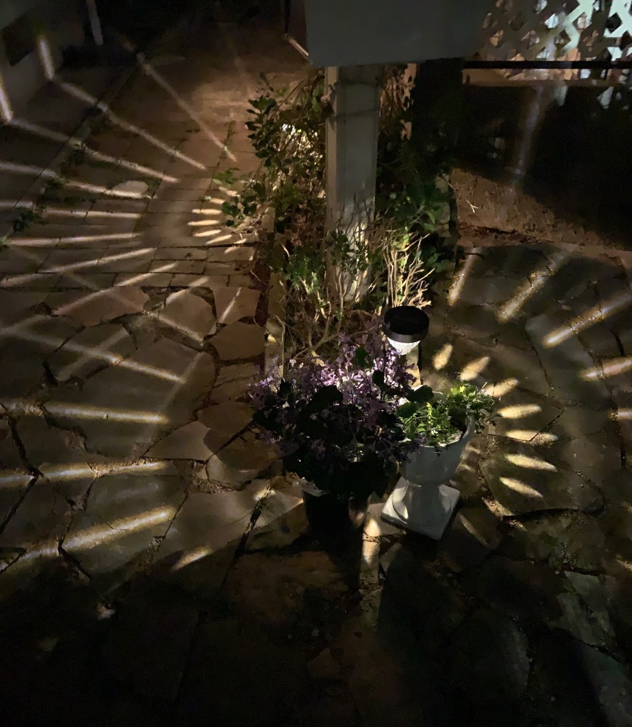 全体のレビュー画像 | 1-0