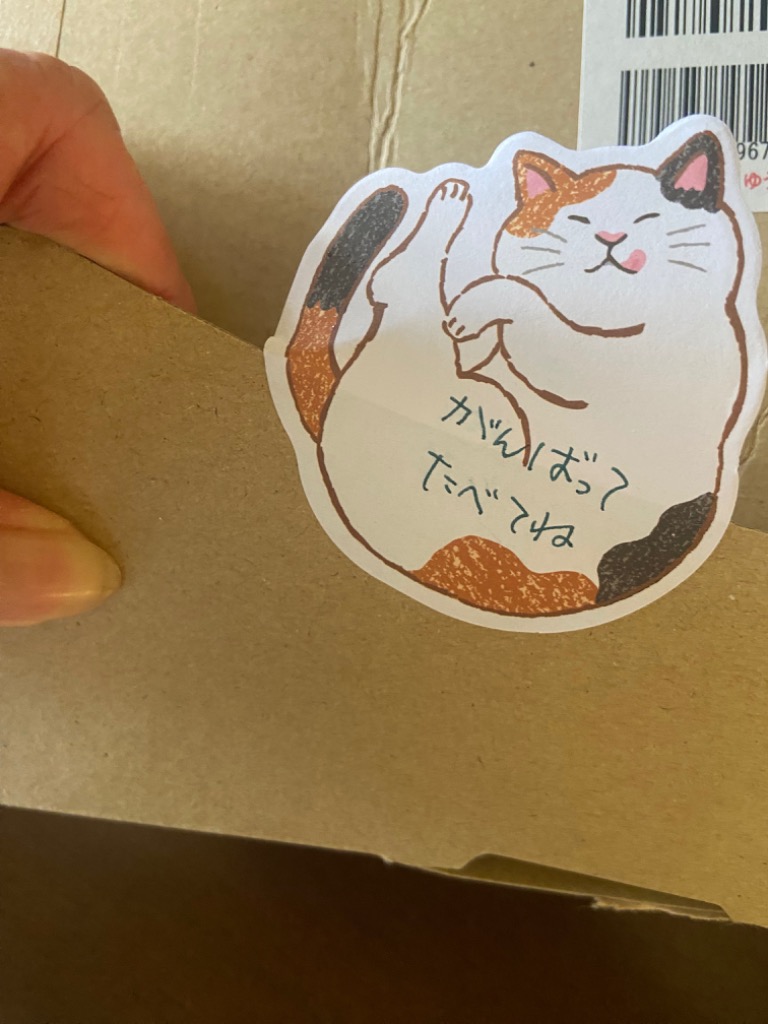 レビュー画像