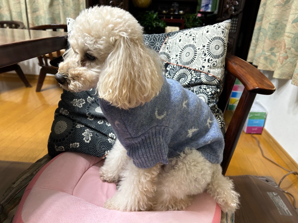 レビュー画像