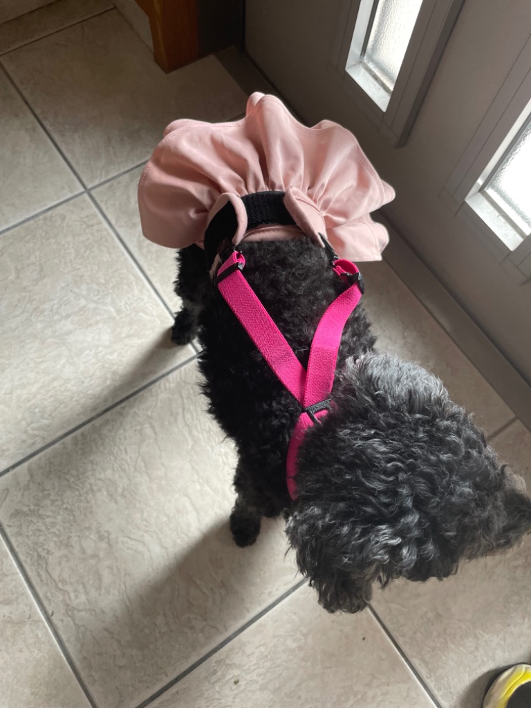 全体のレビュー画像 | 10-0