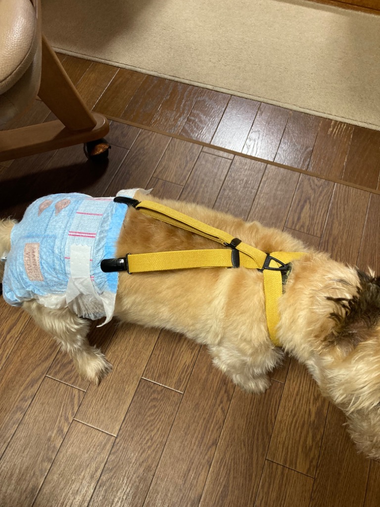 レビュー画像