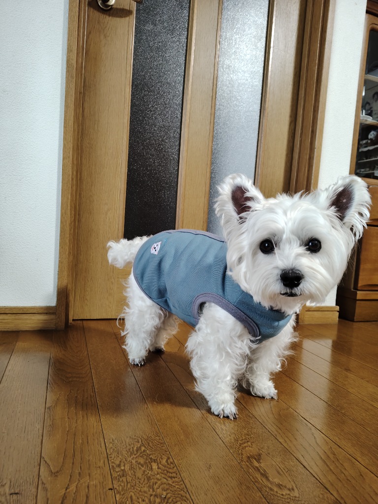 2件目のレビュー画像 | 1