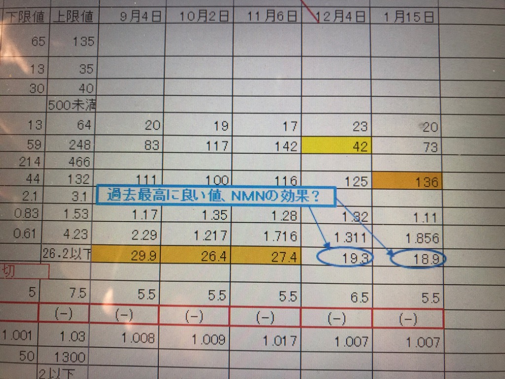 レビュー画像