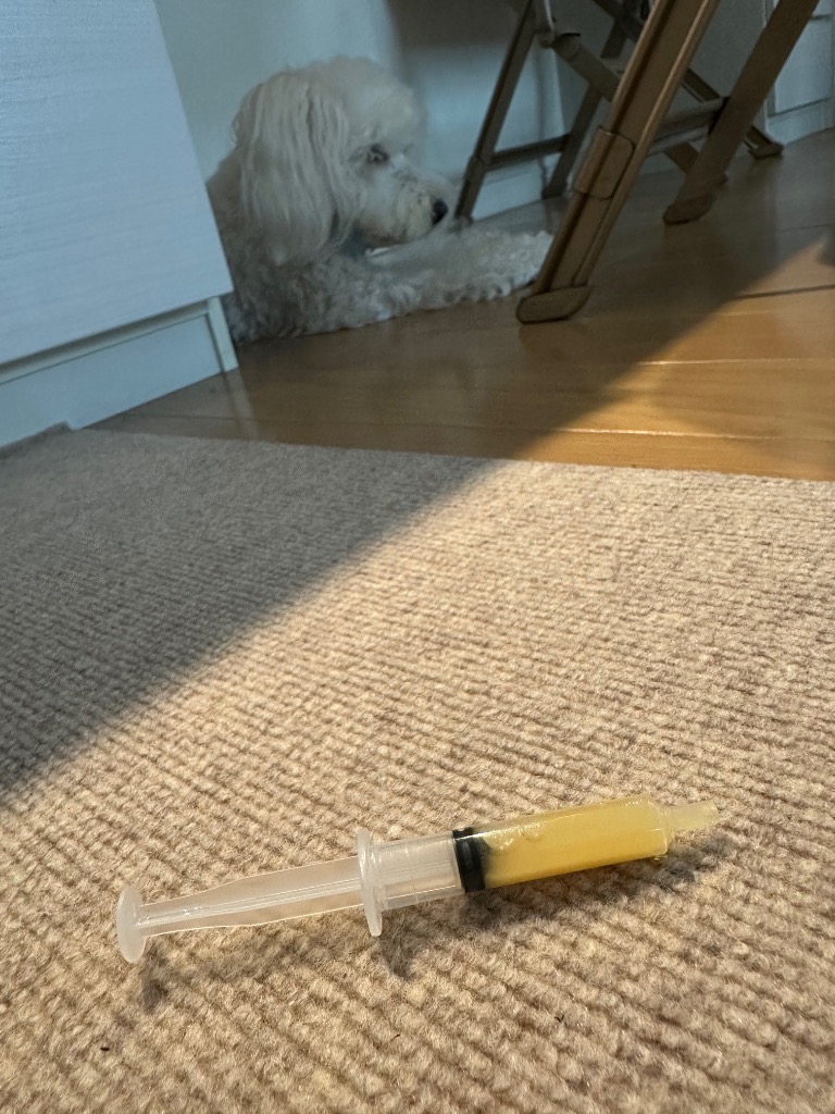 全体のレビュー画像 | 0-0