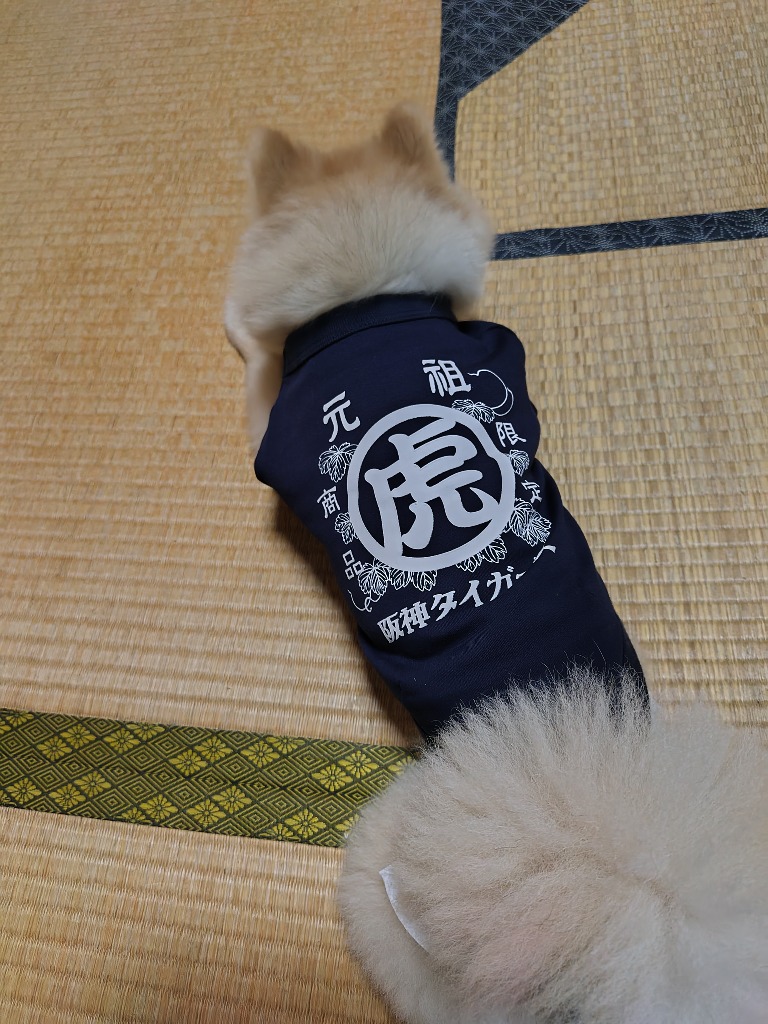 虎者　グッズ 阪神タイガースグッズ ☆元祖虎 ペット・Tシャツ☆ お揃でお散歩