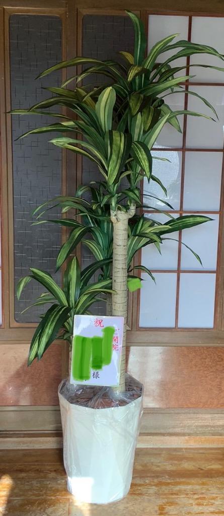 人工観葉植物 大型 フェイクグリーン 光触媒 観葉植物 幸福の木1.6m (開店・開院・開業 お祝いにも) インテリア : 400a300kai : 光 の楽園ショップ モントブレッテ - 通販 - Yahoo!ショッピング