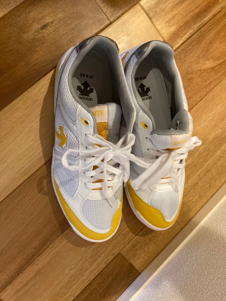 DESCENTE（デサント） スニーカー 体育館シューズ 体育館履き 子供靴