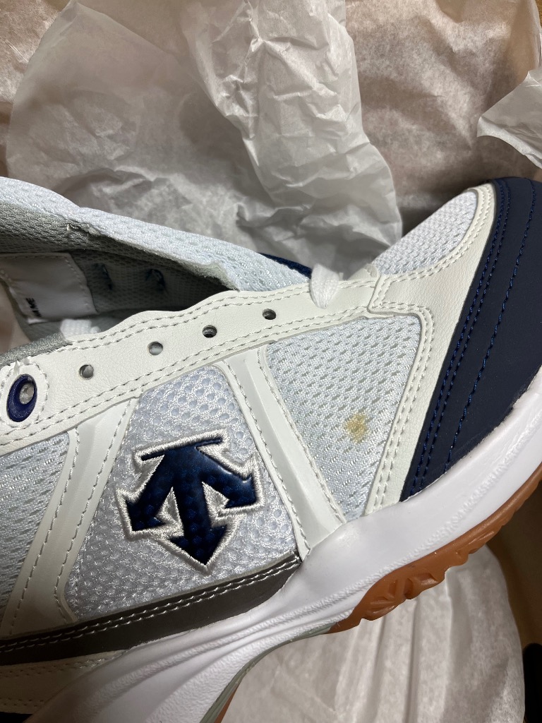 DESCENTE デサント スニーカー 体育館シューズ 体育館履き 子供