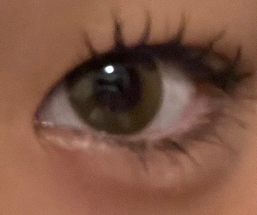 全体のレビュー画像 | 1-0