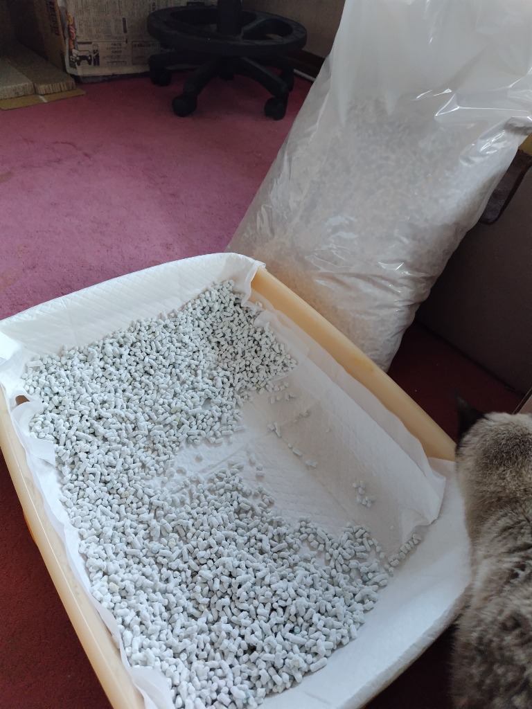 全体のレビュー画像 | 1-0