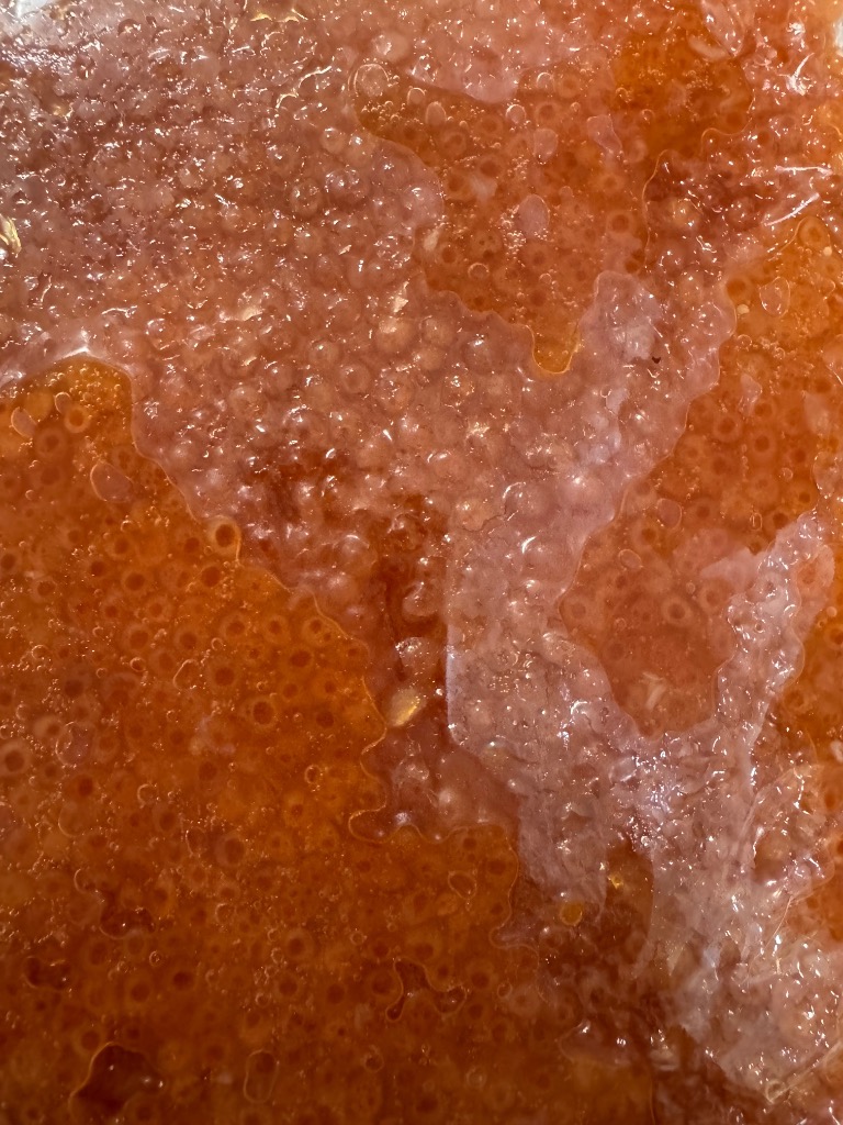 全体のレビュー画像 | 11-0