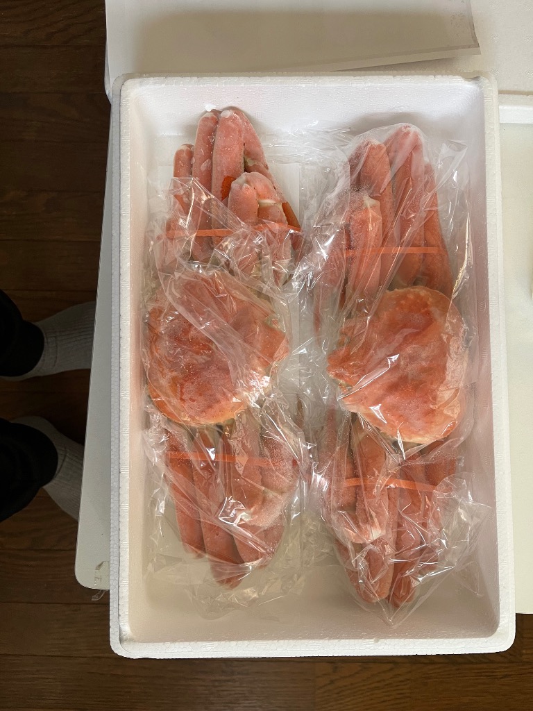 全体のレビュー画像 | 2-0