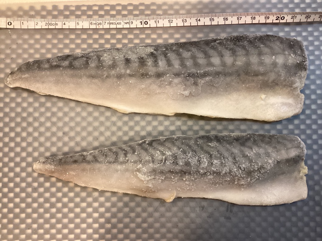 全体のレビュー画像 | 0-0