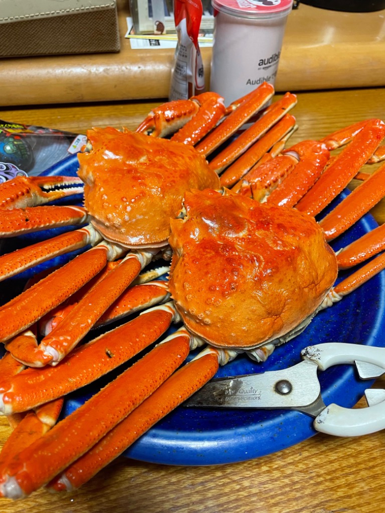 全体のレビュー画像 | 9-0