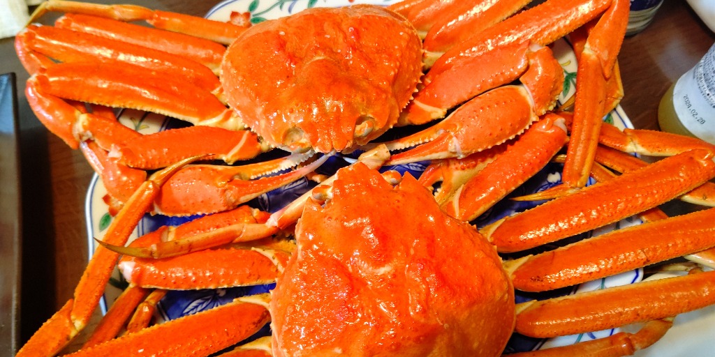 全体のレビュー画像 | 3-0