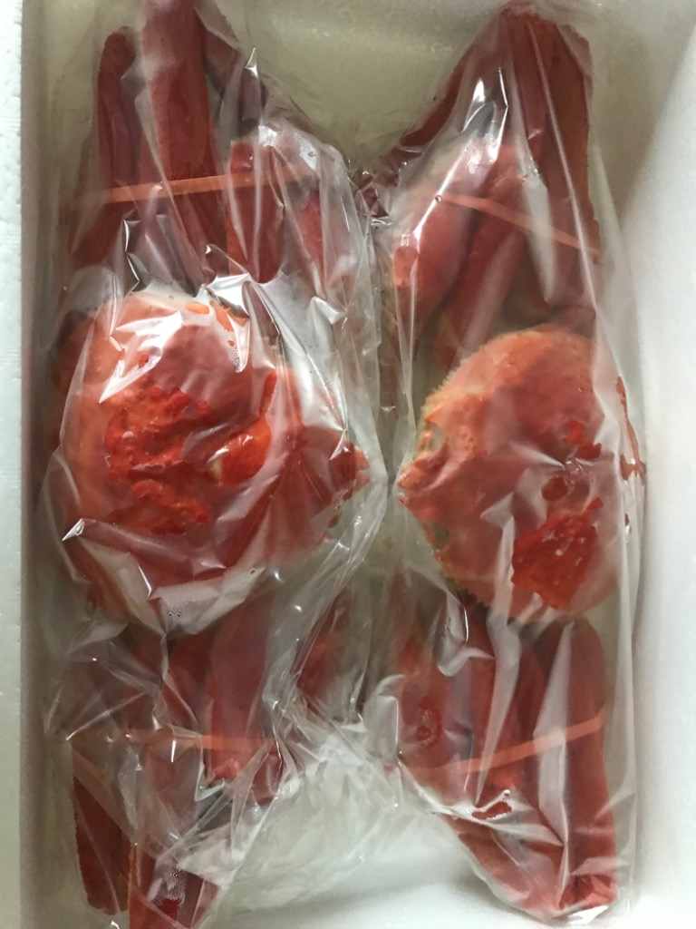 全体のレビュー画像 | 12-0