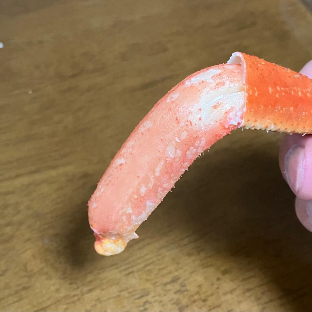 全体のレビュー画像 | 13-1