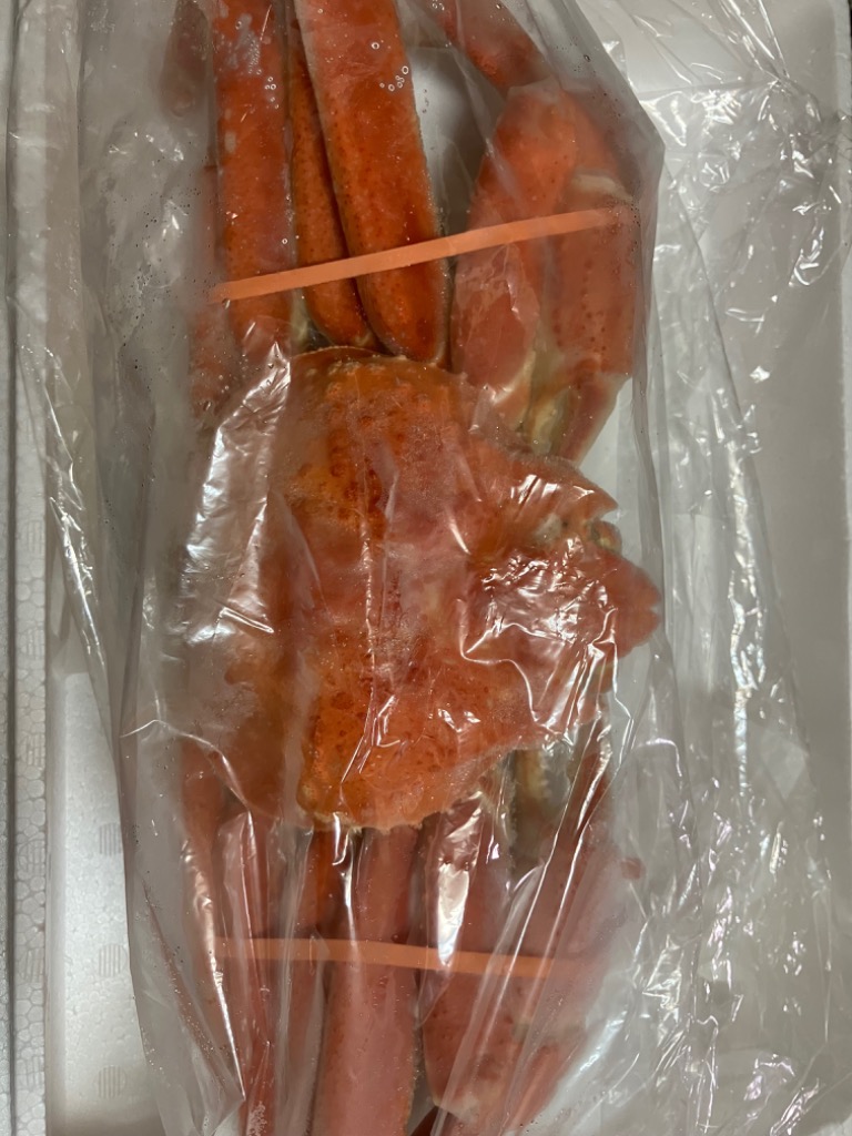 全体のレビュー画像 | 11-0