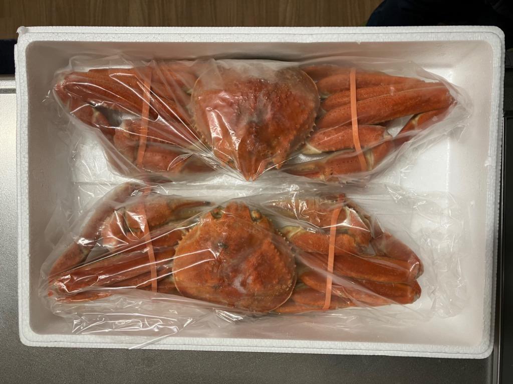 全体のレビュー画像 | 13-0