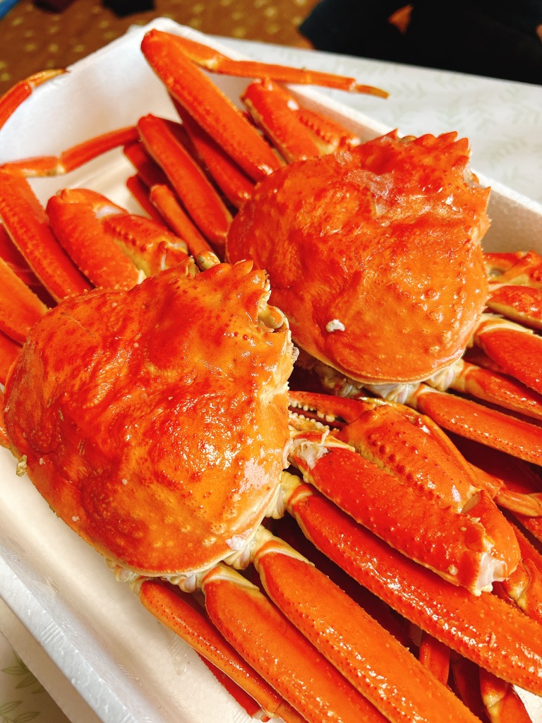 全体のレビュー画像 | 1-0