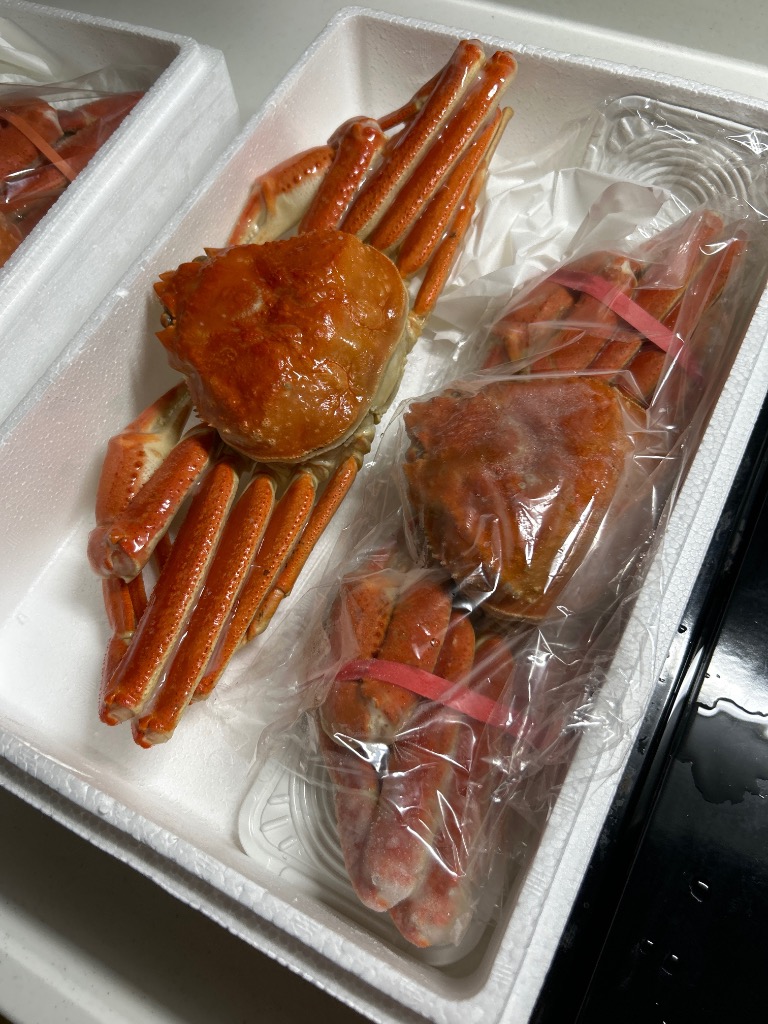 全体のレビュー画像 | 3-0