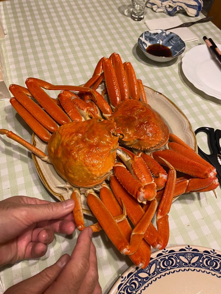 全体のレビュー画像 | 2-0