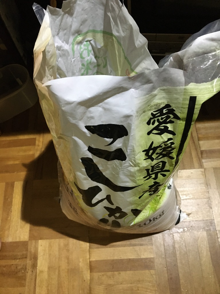 米 10kg 送料無料 「愛媛県産 コシヒカリ 10kg」こしひかり 10
