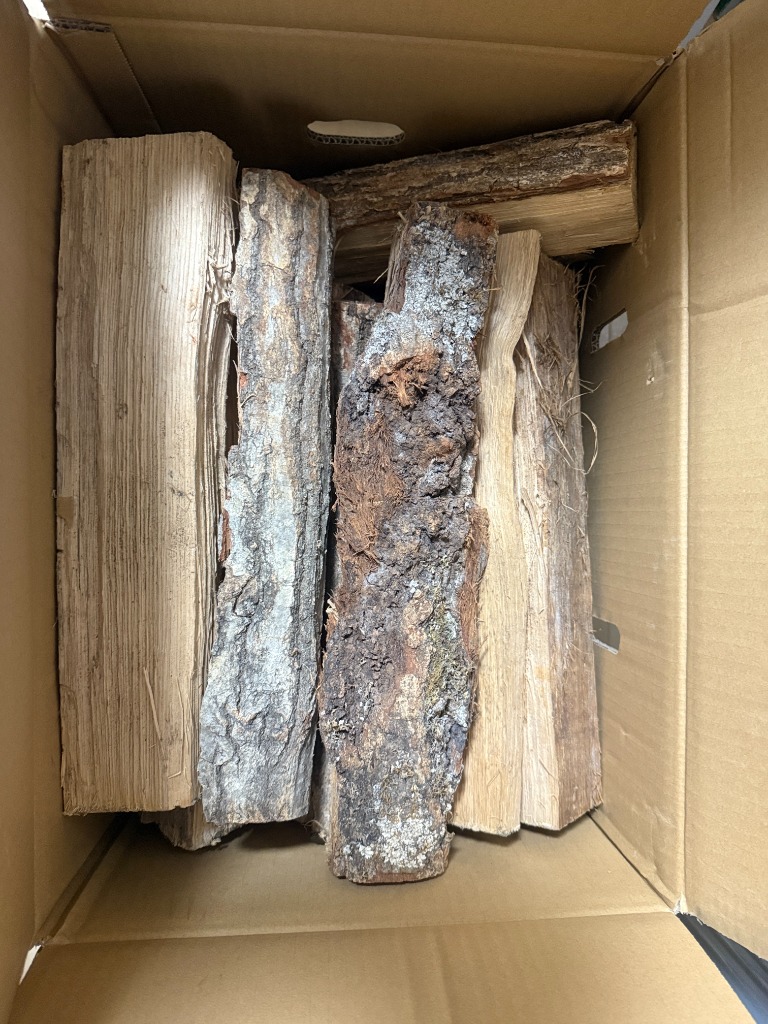 4件目のレビュー画像 | 1