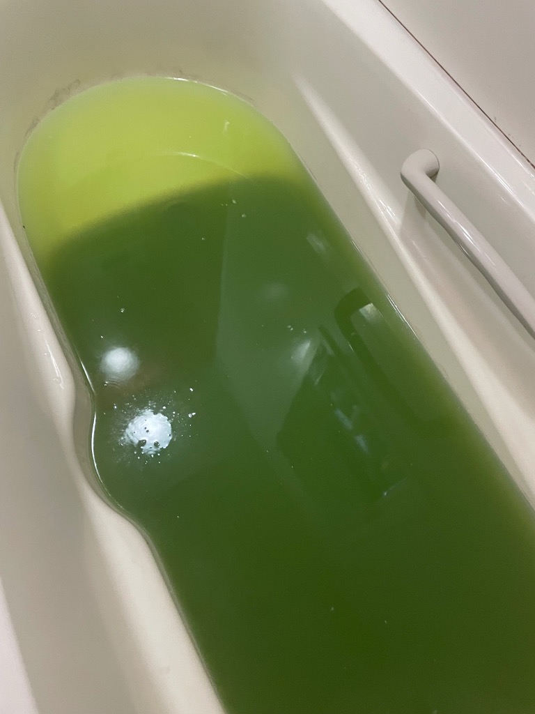 レビュー画像