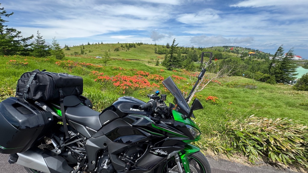 TANAX（タナックス） TANAX MOTOFIZZ バイク用 リアバッグ ミドル
