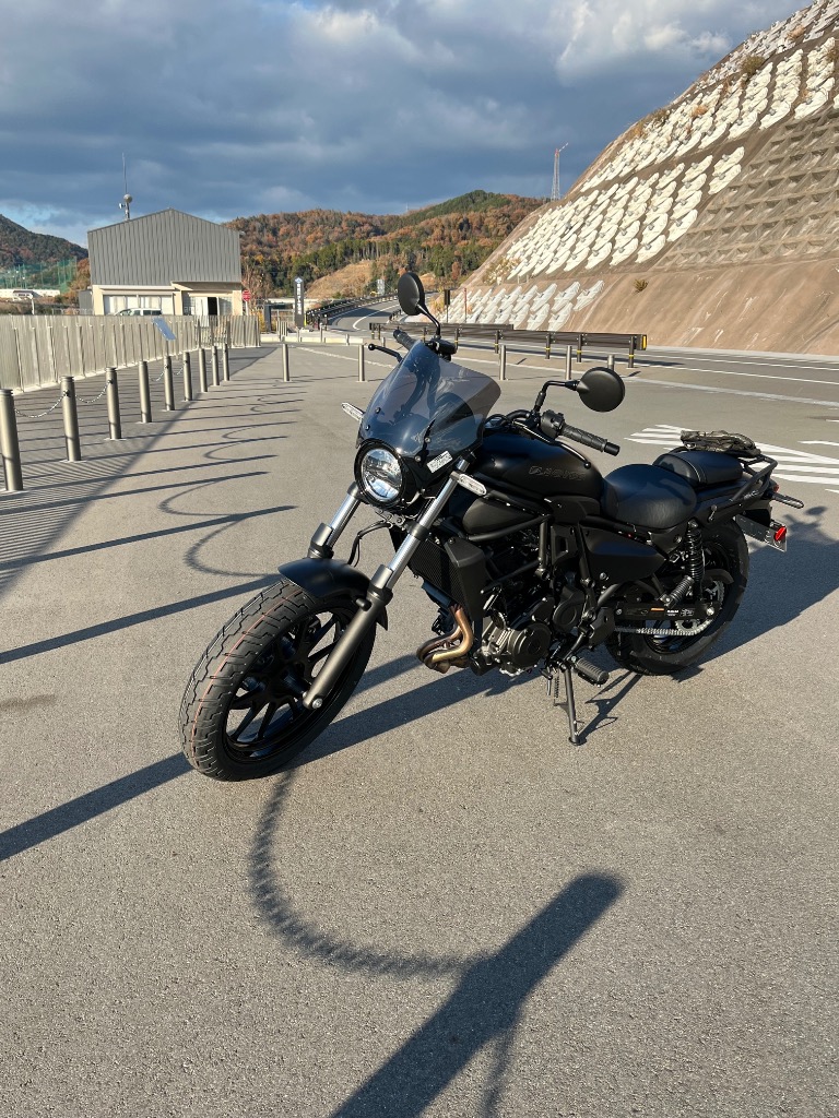 デイトナ(Daytona) エリミネーター専用 ブラストバリアー スモーク Blast Barrier（ブラストバリアー）車種別キット ELIMINATOR