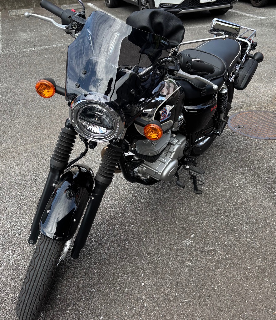 DAYTONA（デイトナ） バイク用 スクリーン W230/メグロS1(25)専用
