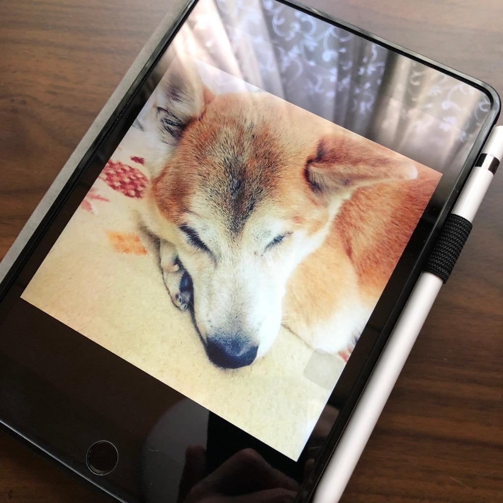 2件目のレビュー画像 | 0