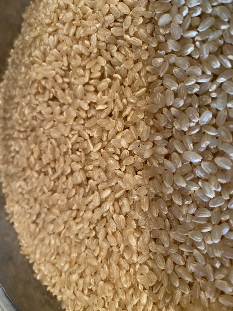 水稲うるち玄米 30kg 宮城県産　環境保全米 米農家直送 令和6年産 米 お米 玄米 30kg 宮城県産 ひとめぼれ 送料無料