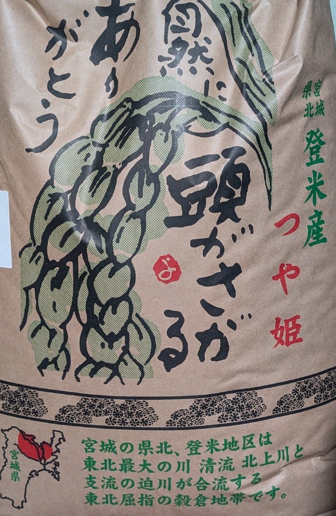 つや姫 米 30kg 玄米 お米 送料無料 安い 宮城県産 一等米 令和6