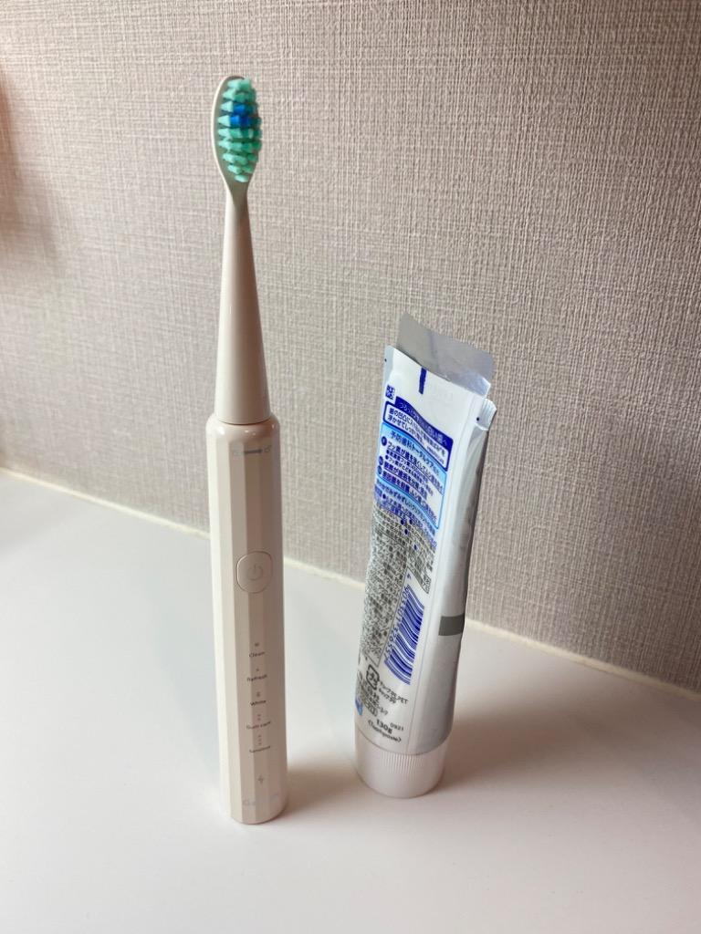 電動歯ブラシ 替えブラシ6本 60日間使用可能 音波 振動 歯磨き IPX7 