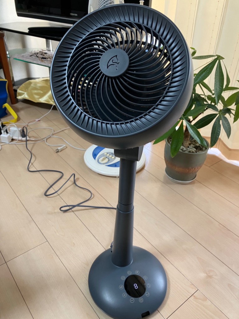 扇風機・サーキュレーター COCOHIE EPEIOS 最新版サーキュレーター COCO 扇風機 DCモーター 静音