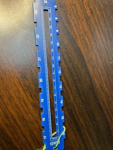 8件目のレビュー画像 | 1