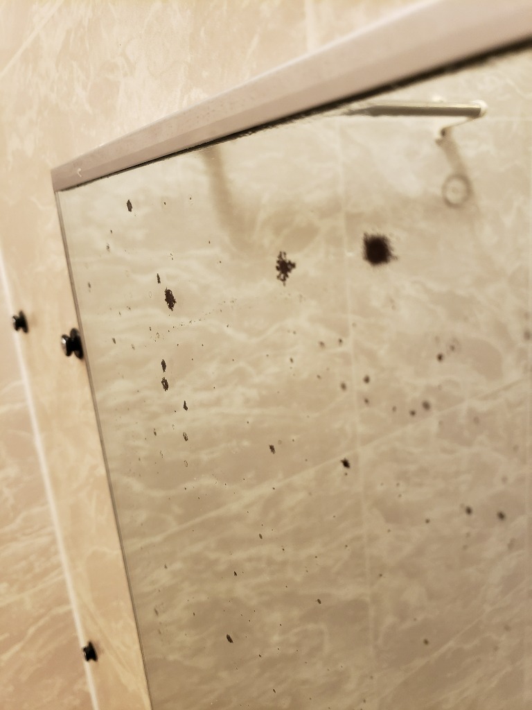 1件目のレビュー画像 | 5