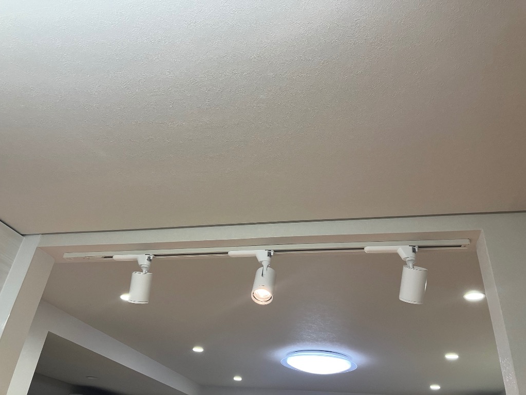 Panasonic（パナソニック） NTS01002W LE1 LEDスポットライト 配線