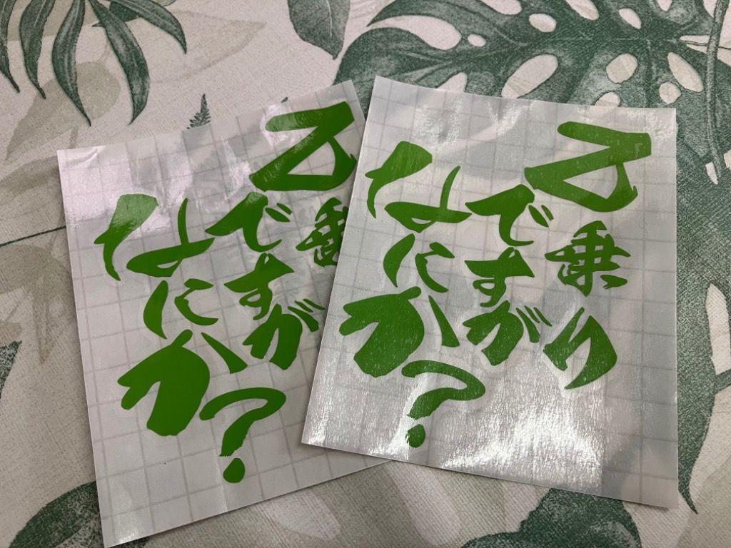 レビュー画像