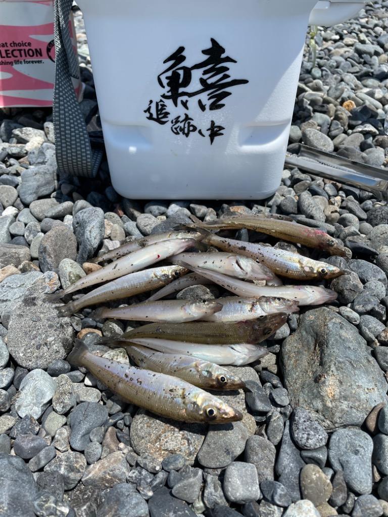 1件目のレビュー画像 | 0