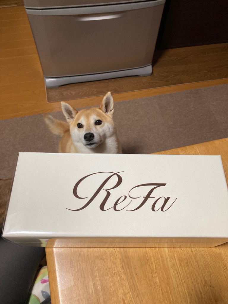 レビュー画像