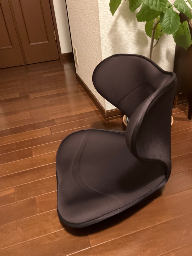 【ポイント10倍！】公式ストア スタイル スマート Style SMART 椅子 クッション 姿勢 腰 背中 正しい姿勢 ギフト プレゼント 産後  猫背 STPP MTG