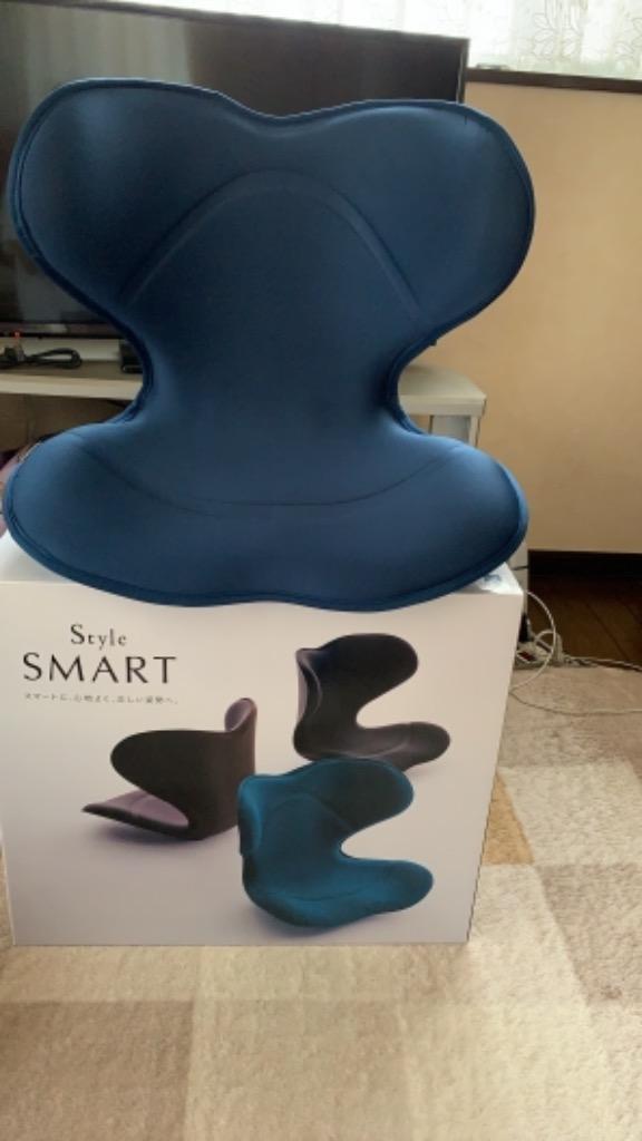 程度極上  スタイルスマート style　smart 姿勢ケア 骨盤 【美品】MTG 座椅子
