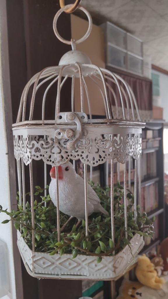 鳥かご 鳥籠 オブジェ おしゃれ 雑貨 インテリア アンティーク