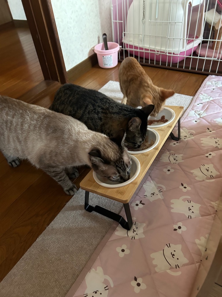 全体のレビュー画像 | 2-0